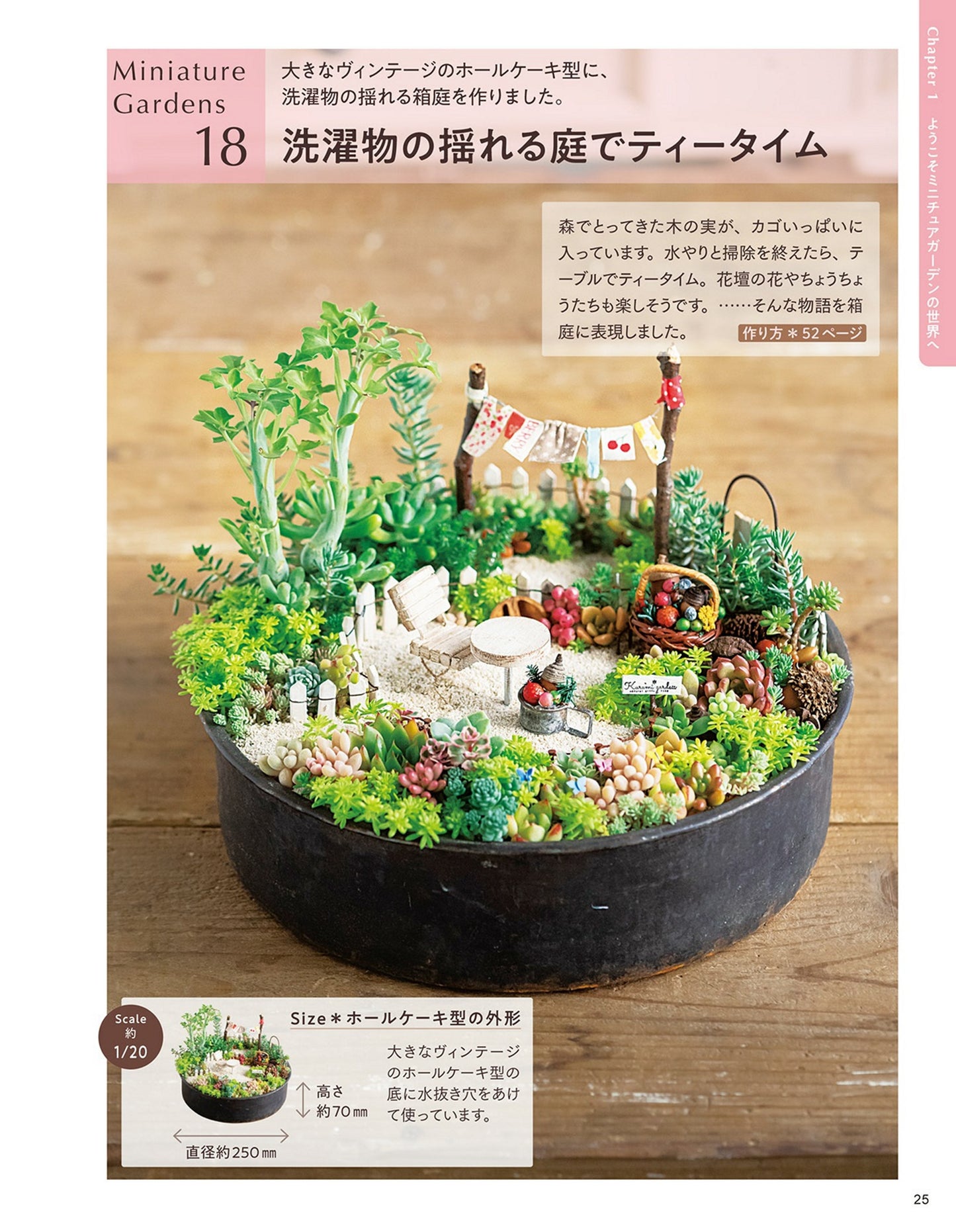 Miniature Garden of Succulents and Dried Flowers