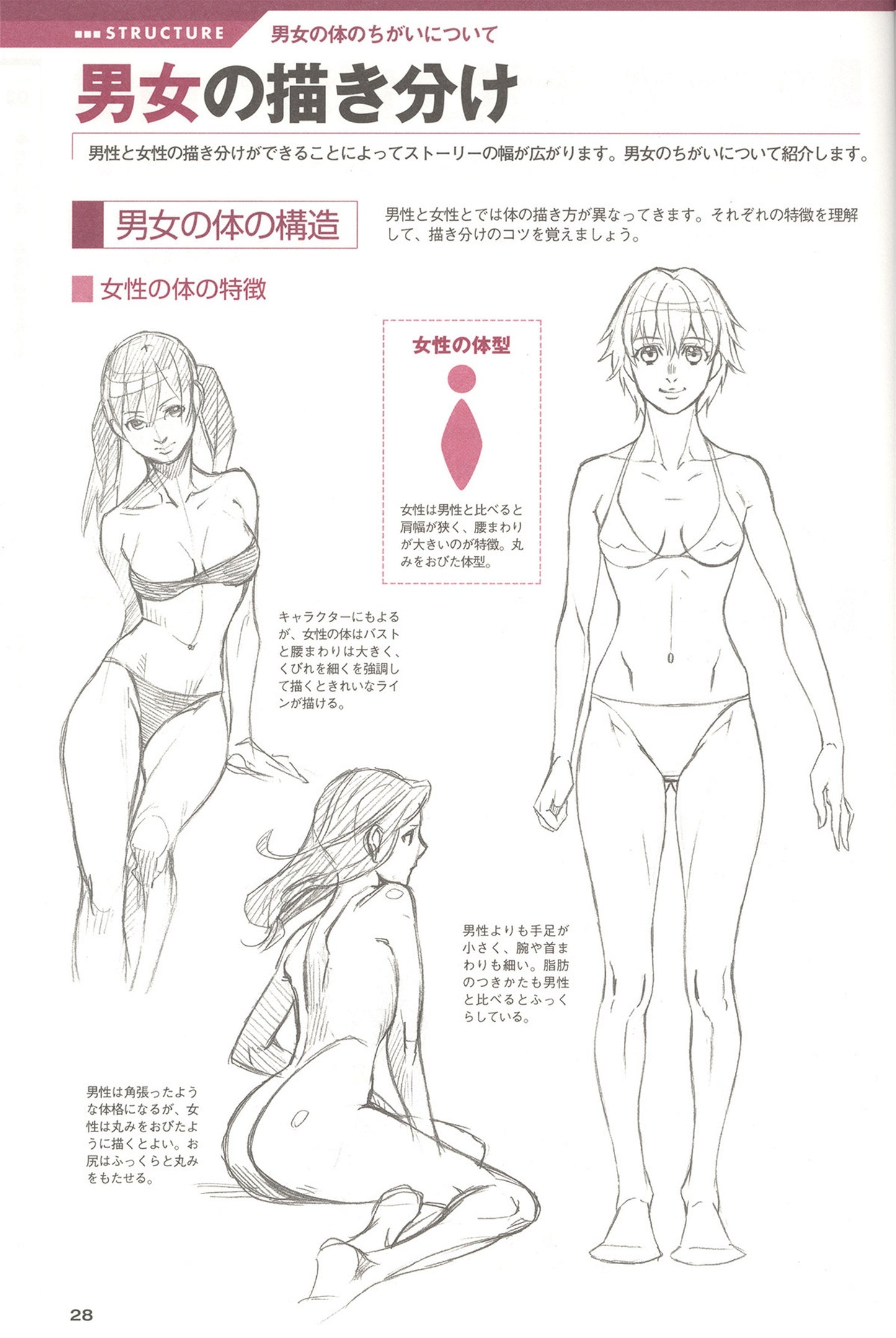 How to Draw Manga Characters - Understand The Basics and Tips