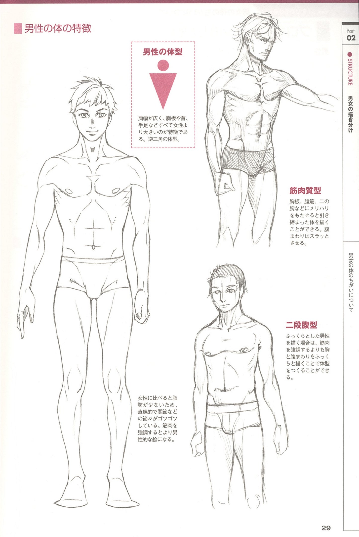 How to Draw Manga Characters - Understand The Basics and Tips