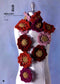 Women's Knitwear Collection - Shawls, Scarves, Hats, Gloves, Shoes, Socks, Bags (2016) (CHINESE)