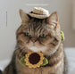 Torajiro the Cat and Crocheted Accessories (Lady Boutique Series) (2025)