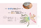 Healing Eraser Stamps Made by Monks (Hiroyuki Asada) (2025)