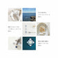 Blue and White Embroidery (Kozue Yazawa) (2019)