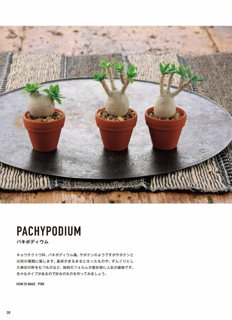 Miniature Succulents made from Polymer Clay (Kitanoko) (2019)