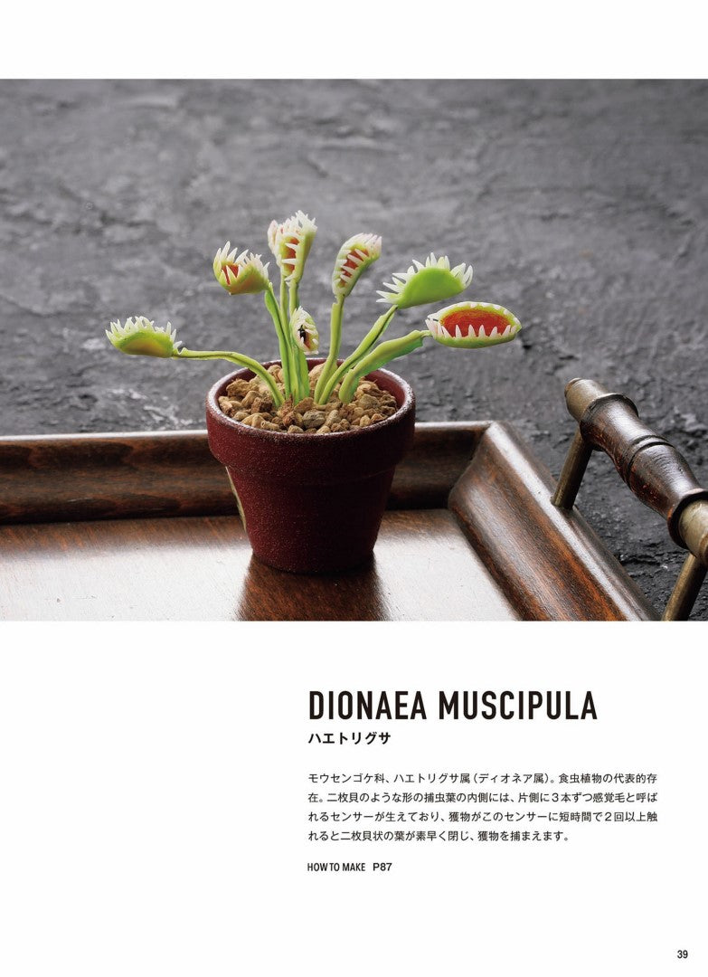 Miniature Succulents made from Polymer Clay (Kitanoko) (2019)