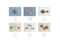 Cute 3D Embroidery Stumpwork (applemints) (2022)