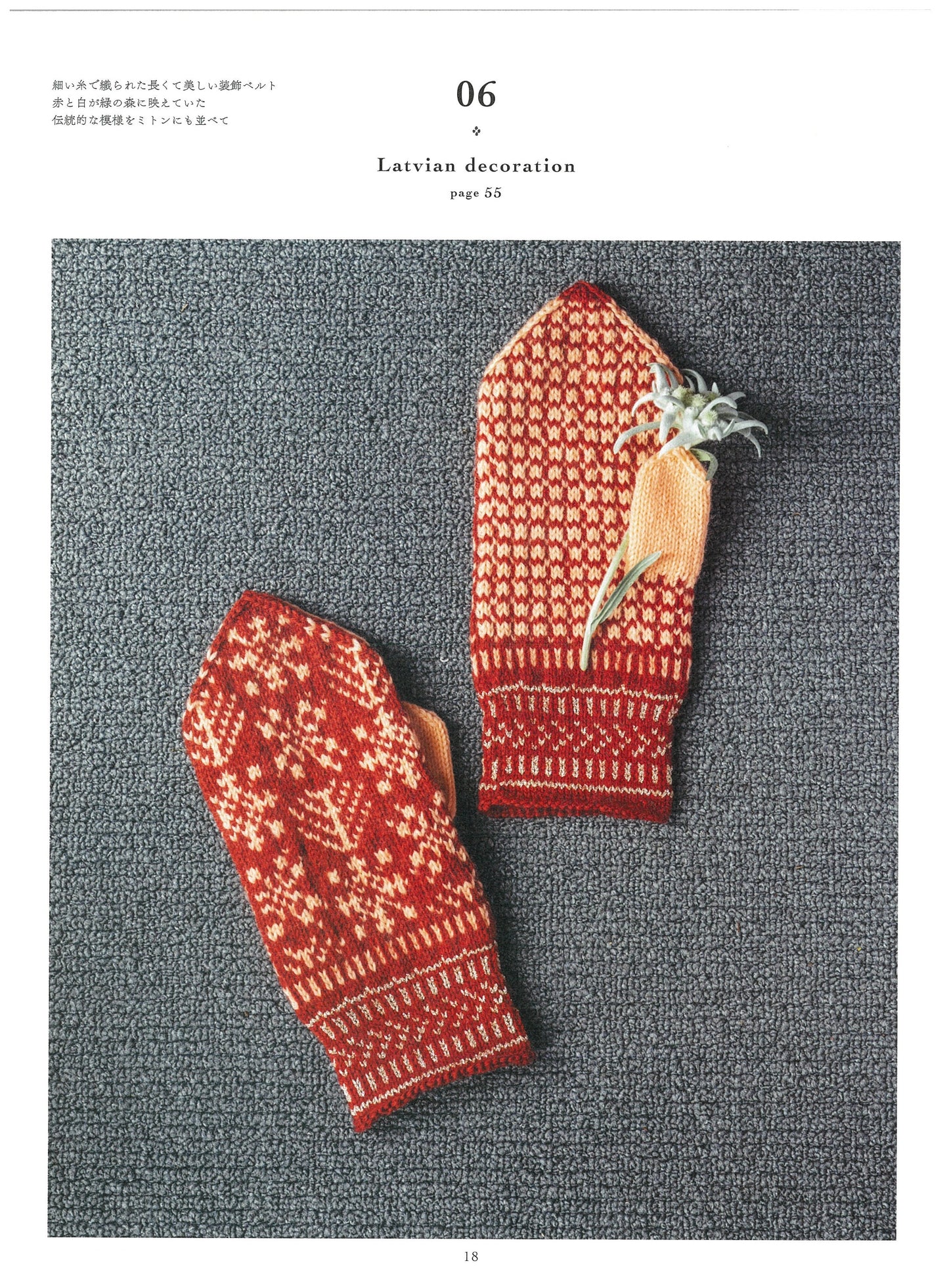 My Mittens Born from Travelling by Minoru Shioda (2021)