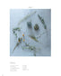 Living with Dried Flowers (2023)