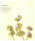 Four Seasons 3D Flower Paper Cutting Patterns (Yamamoto Emiko) (2017) (CHINESE)