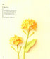 Four Seasons 3D Flower Paper Cutting Patterns (Yamamoto Emiko) (2017) (CHINESE)