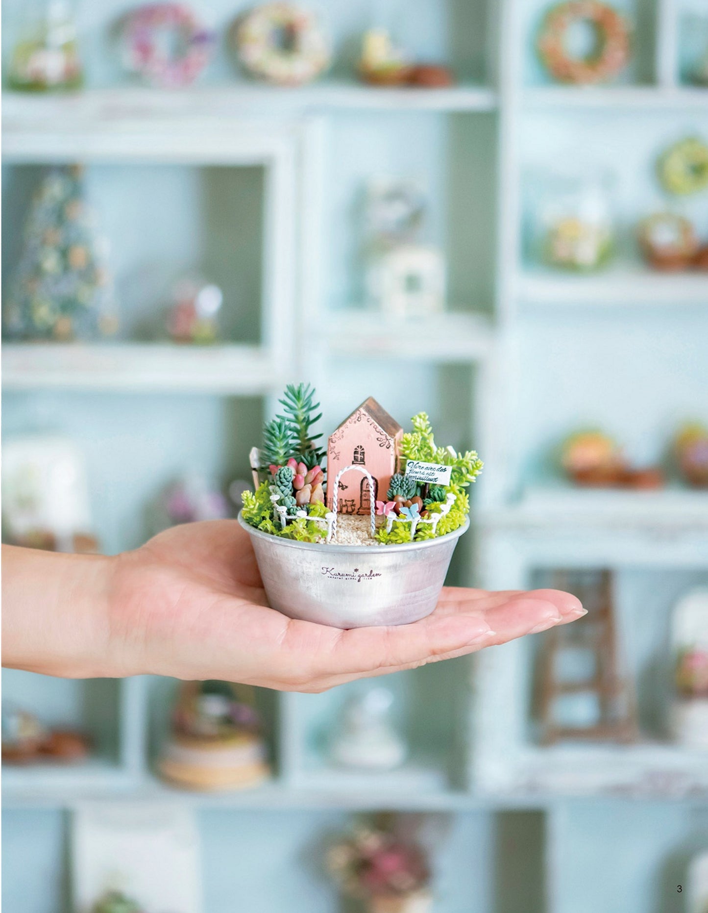 Miniature Garden of Succulents and Dried Flowers