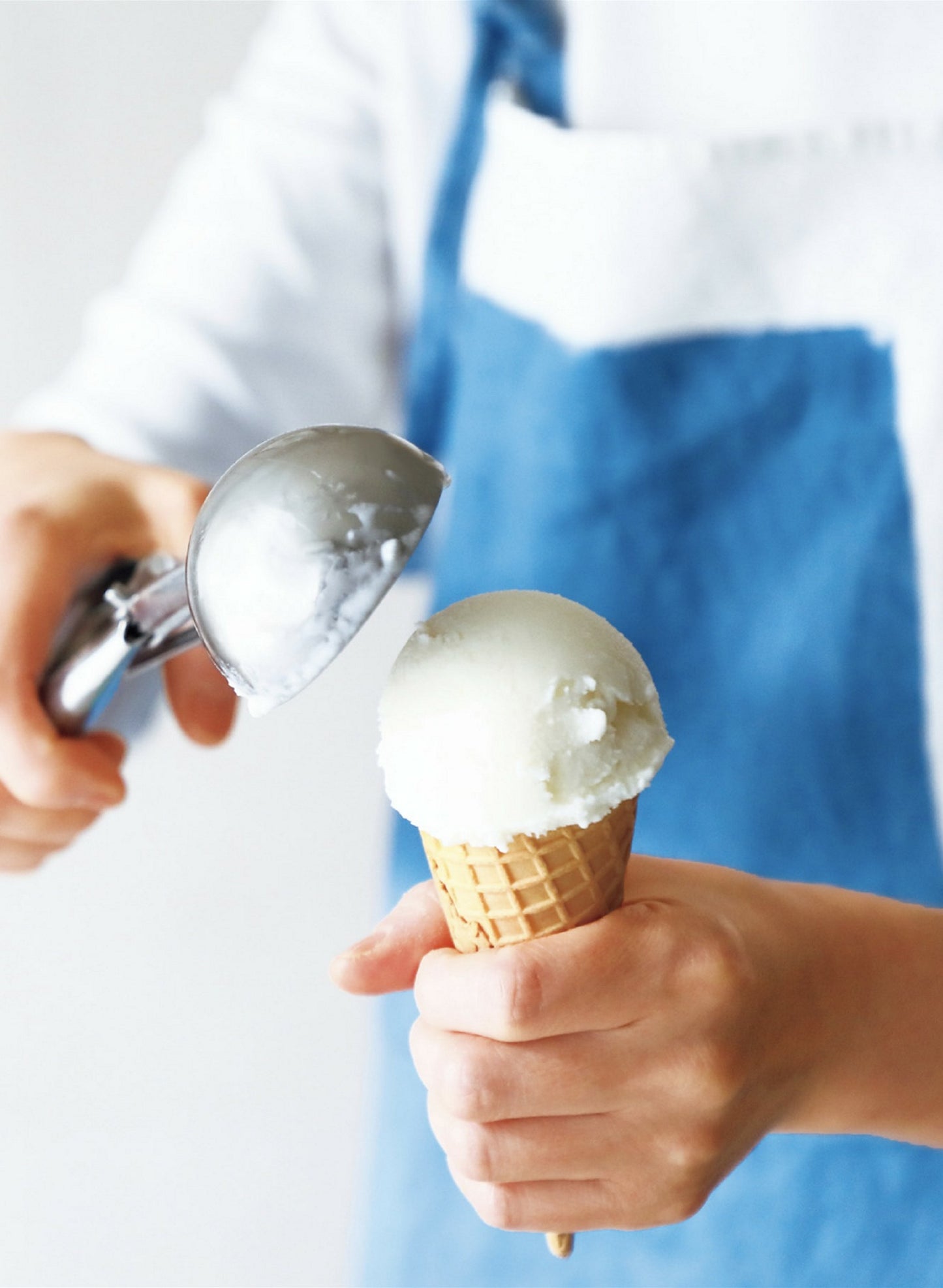 Ice Cream and Frozen Desserts