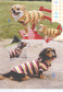 52 DIY Dog Clothing and Fabric Products (2010) (CHINESE)