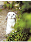 Realistic and Cute Felted Wool Rabbit (Makiko Hata, Chocolat Box) (2019)