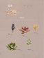 Super Cute Succulent Garden Made from Clay (2015) (CHINESE)