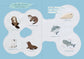 Let's Make Sea Creatures Embroidery (Chicchi) (2025)