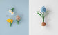 (PREORDER-Delivery in 48hrs) Cut and Paste to create Eco-craft Flowers (Mayumi Araki) (2026)