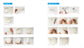 (PREORDER-Delivery in 48hrs) Small Stuffed Animals Made With Punch Needles (Atsuko Harada) (2026)