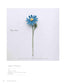 Knitting with ECO VITA - Crochet Elegant Flower Illustrated Book (applemints) (2024)