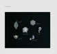 Accessories and Small Items With Organdy Embroidery (2021)