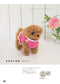 Palm-sized Amigurumi Dog (Mieko Mamido) (2024)