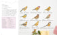 Cross-Stitch Motifs of French Flowers and Birds (Helene Le Berre) (2019)