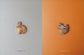 (PREORDER-Delivery in 48hrs) Animal Embroidery Accessories Made with Bullion Stitch (Yuki Takeda) (2026)