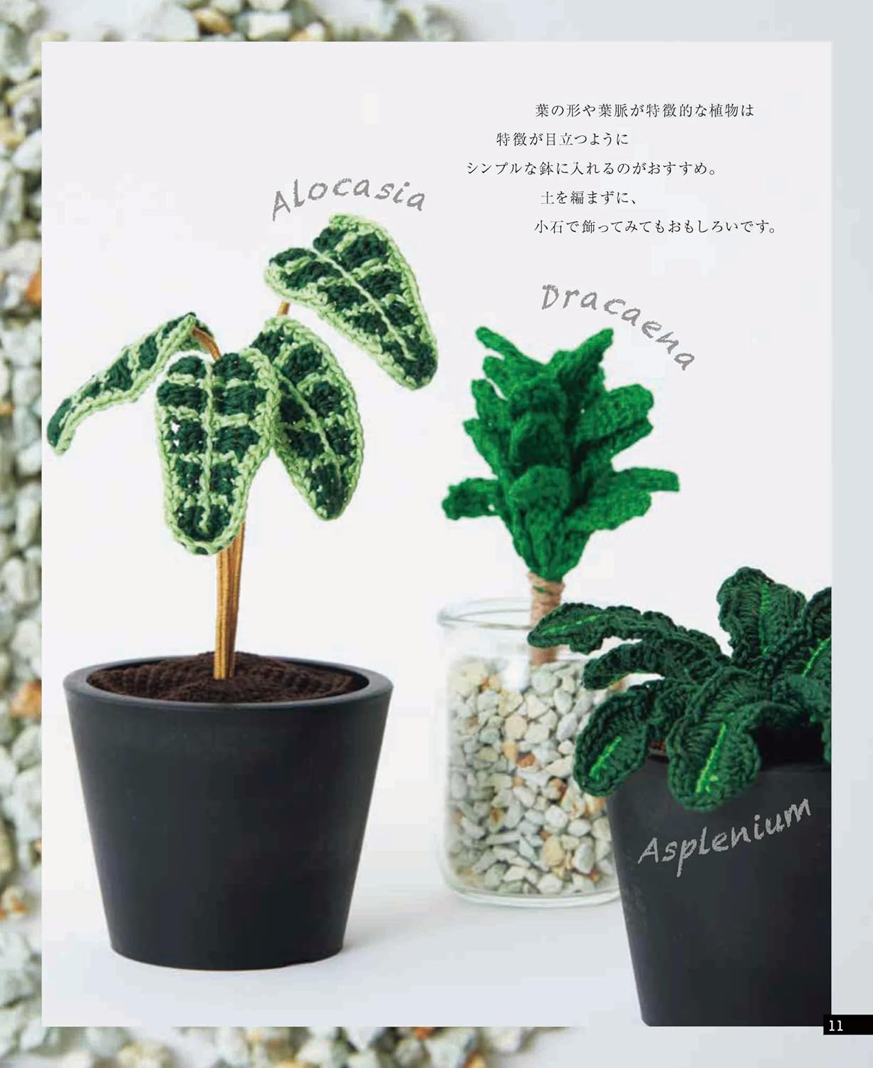 Crochet Plant Gallery with Embroidery Thread (Applemints) (2023)