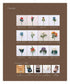 Knitting with ECO VITA - Crochet Elegant Flower Illustrated Book (applemints) (2024)