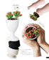 Crochet Plant Gallery with Embroidery Thread (Applemints) (2023)