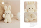 (PREORDER-Delivery in 48hrs) Fluffy and Cuddly Animal Plushie Making Book by Hand Sewing (Usanosuke) (2026)