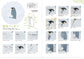 Let's Make Sea Creatures Embroidery (Chicchi) (2025)