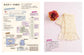 (PREORDER-Delivery in 48hrs) Essential Crochet and Knitting Basic Techniques for a Lifetime (Practical No. 1 Series) (Mika Yuka) (2026)