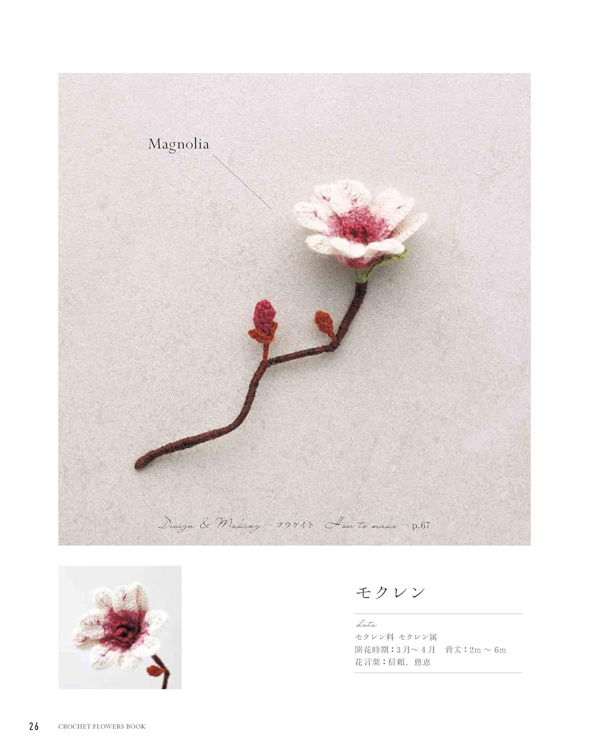 Knitting with ECO VITA - Crochet Elegant Flower Illustrated Book (applemints) (2024)