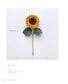 Knitting with ECO VITA - Crochet Elegant Flower Illustrated Book (applemints) (2024)