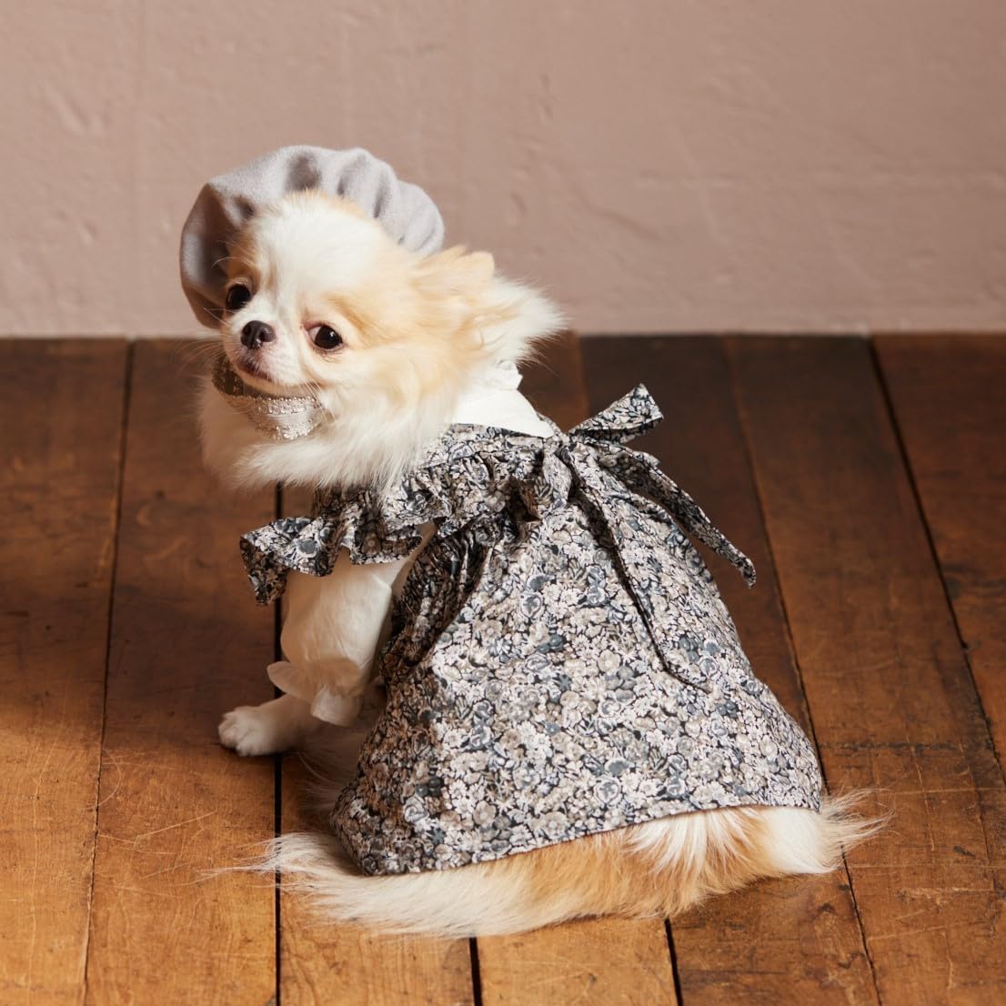 Cute Dog Clothes for Small Dogs by Suzuki Rina (2014)