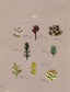 Super Cute Succulent Garden Made from Clay (2015) (CHINESE)