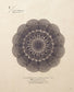 Selected Collection of Classic Elegant Pineapple Crochet Lace (2022)