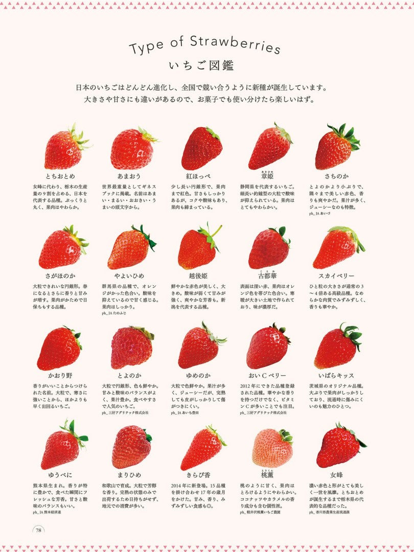 Strawberry Sweets Recipe Book New Edition (Yoko Wakayama) (2022)