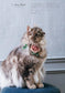 Flower Motif Crochet by Marun Crochet (2026)