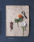 Knitted Flowers Book (2021)