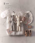 Enjoy Crochet Rabbits (applemints) (2025)