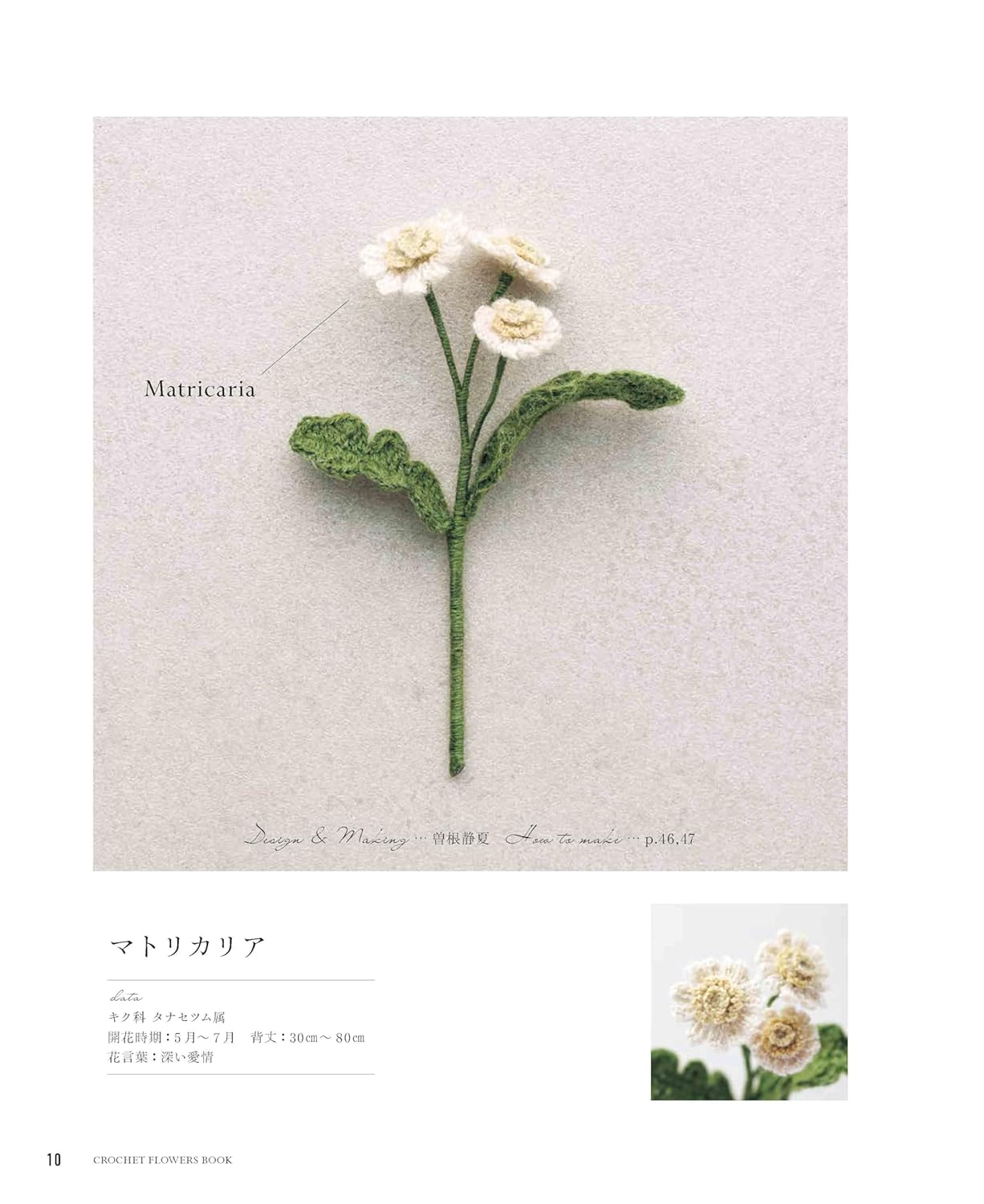 Knitting with ECO VITA - Crochet Elegant Flower Illustrated Book (applemints) (2024)
