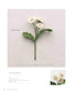 Knitting with ECO VITA - Crochet Elegant Flower Illustrated Book (applemints) (2024)