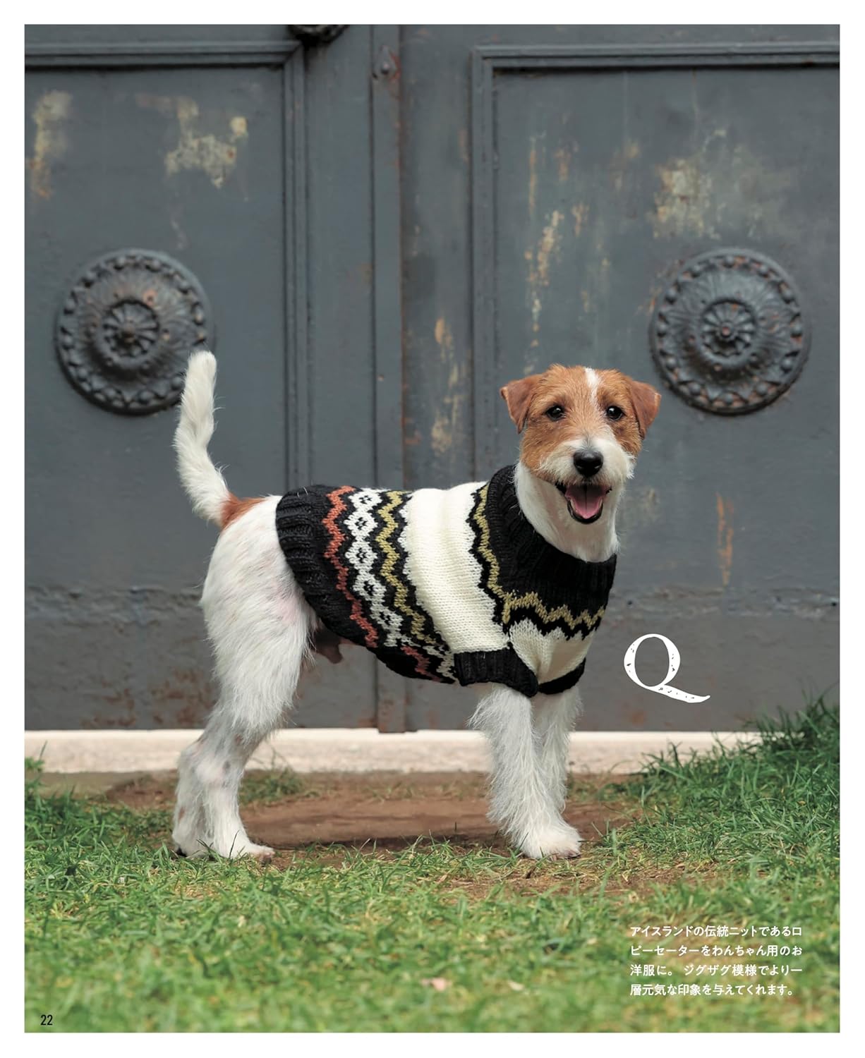 Warm Hand-Knitted Dog Clothes for Small and Medium-Sized Dogs (applemints) (2024)