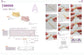 DOLL KNIT BOOK for Miniature Size Doll (Ochibits) (2024)