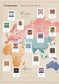 Knitted Textile Patterns of the World (applemints) (2025)
