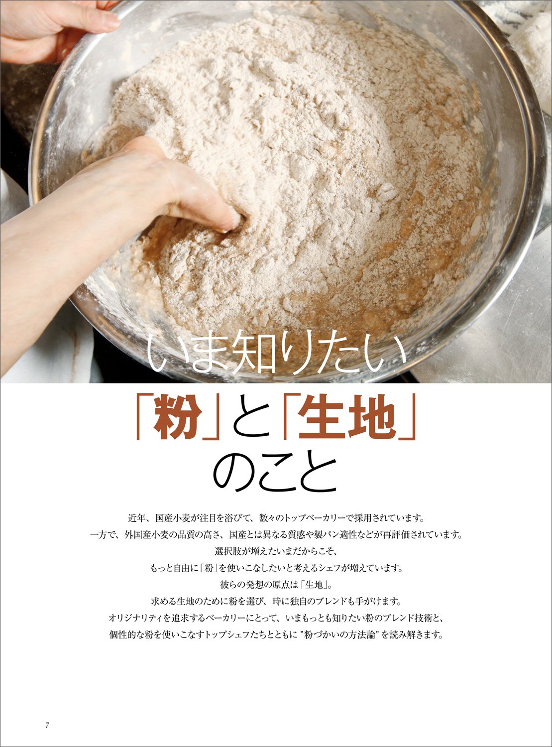 (PREORDER-Delivery in 48hrs) Bakery Book Vol. 11 (Shibata Shoten MOOK)