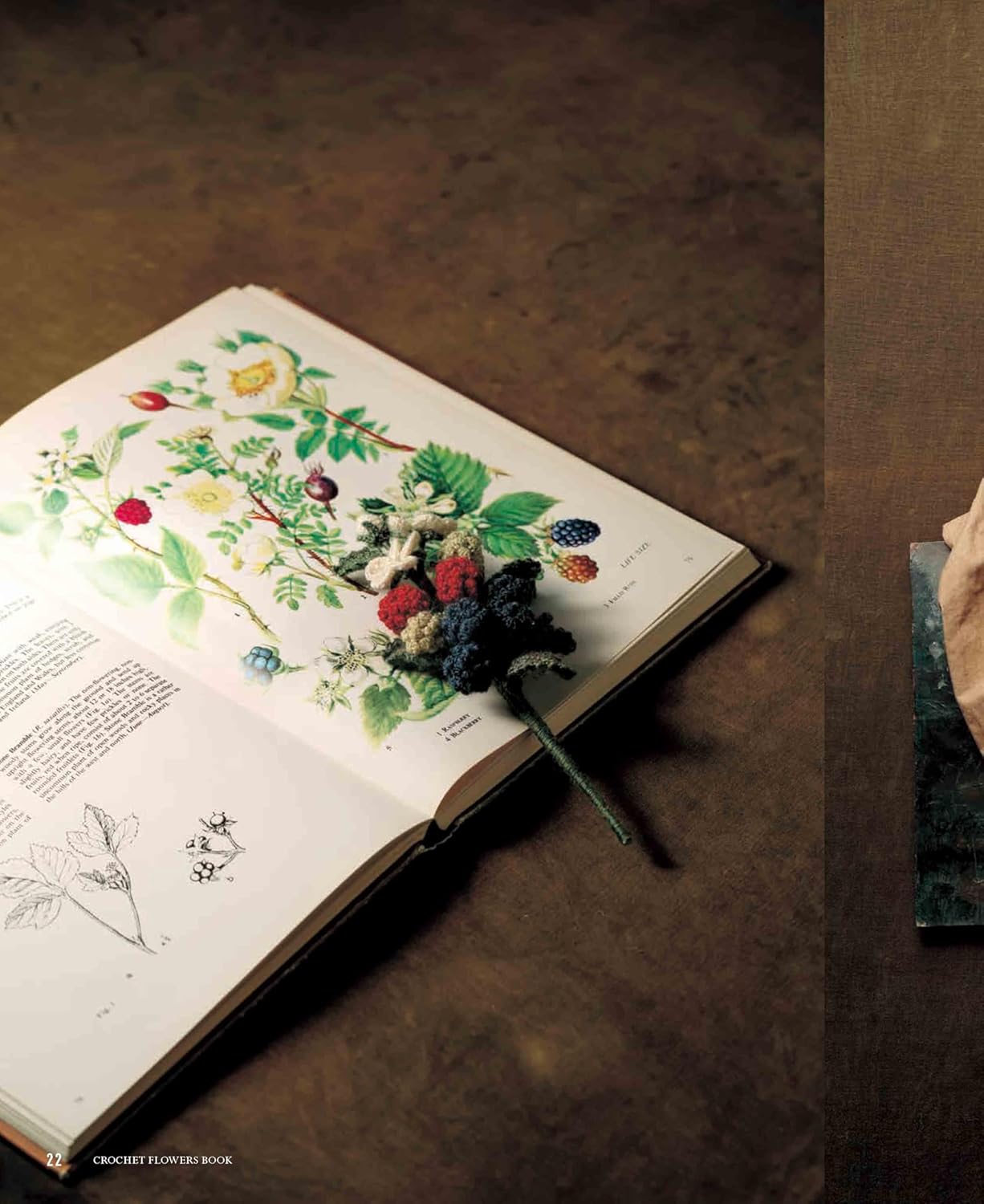 Knitting with ECO VITA - Crochet Elegant Flower Illustrated Book (applemints) (2024)