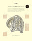 Traditional Knits from Around the World (2024)